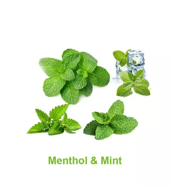 Magical Flavour Menthol And Mint Concentrated Flavors